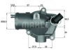 MERCE 6132000115 Thermostat, coolant